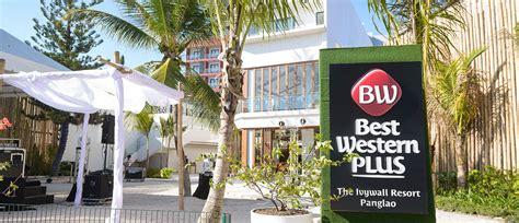 Best Western Plus The Ivywall Resort.